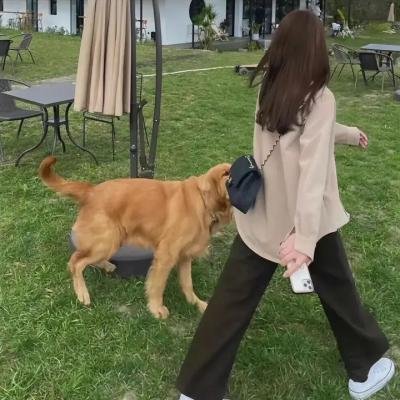 毁灭者