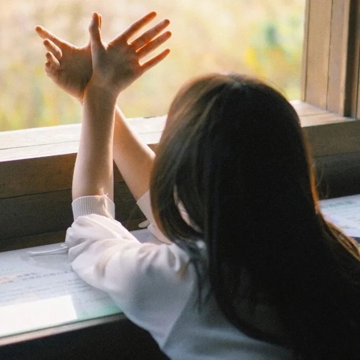 人猿泰山 (1999年电影)